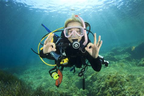 go dive spondon|Iba pa.